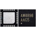 Module Audio IC AW8898