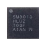 Module IC Power SM3010 pour Samsung Galaxy S10 + / S10 – Image 3