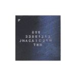 Big Audio IC Module 338S1213 pour iPad 5/6 / mini 2 – Image 3